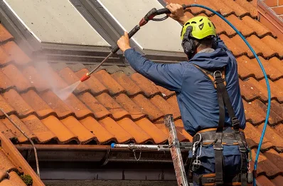 Démoussage et hydrofuge de toiture à Hautecour